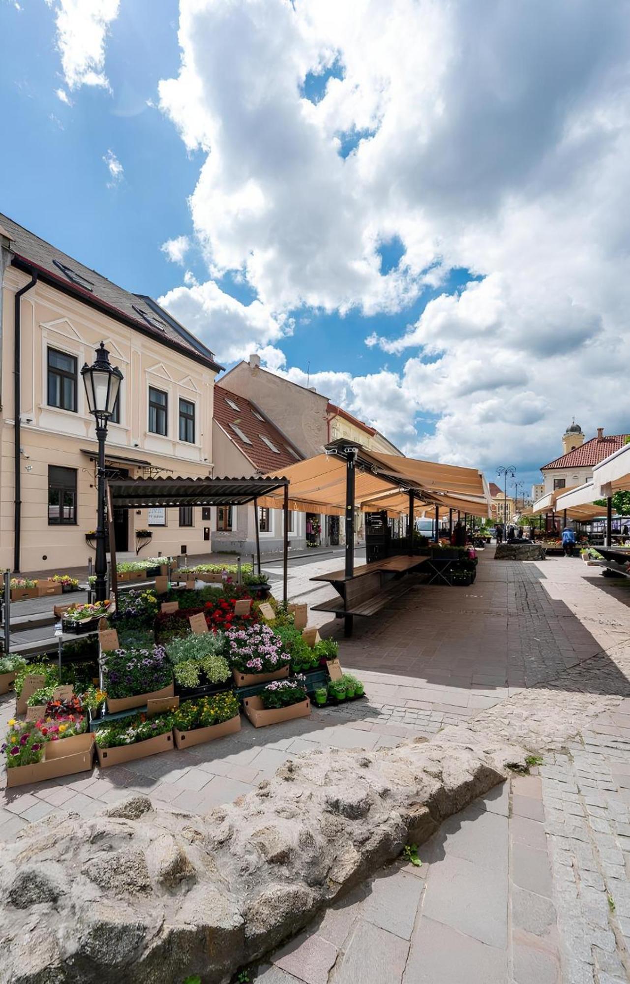 Hotel Zlate Kösice Dış mekan fotoğraf
